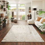 Emperor Styra Abstract Rugs - Beige