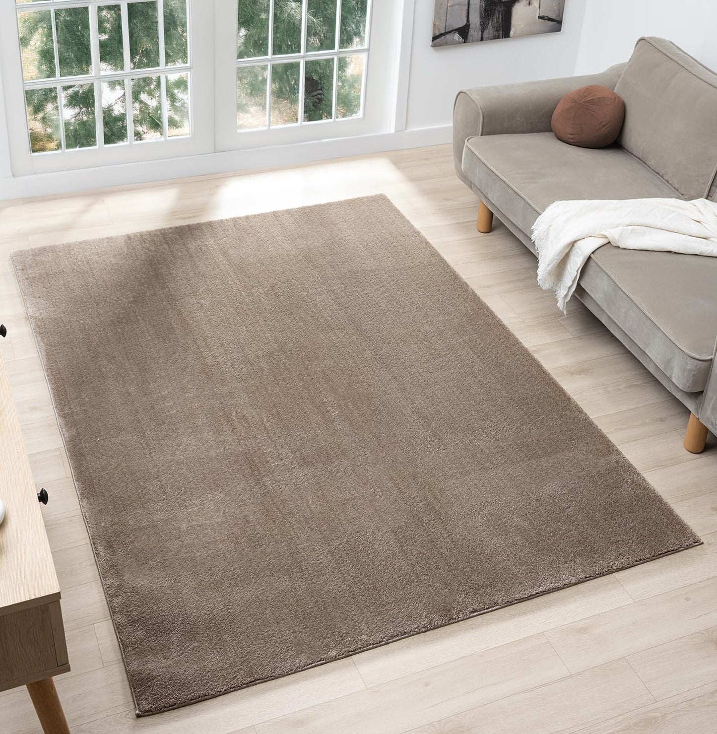 Comfy Washable Modern Living Room Rug Polyester Plain Indoor Area Rug with Low Pile - Anti-Slip Felt Backing Bedroom-Hallway Runner