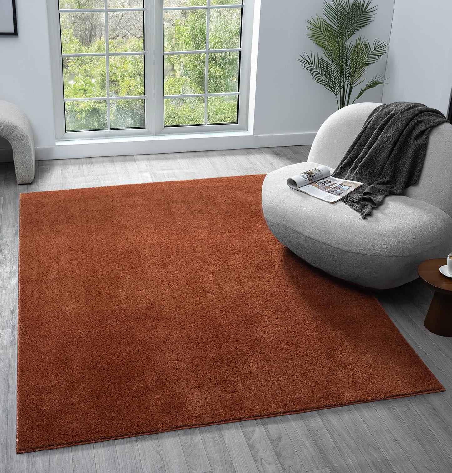 Comfy Washable Modern Living Room Rug Polyester Plain Indoor Area Rug with Low Pile - Anti-Slip Felt Backing Bedroom-Hallway Runner