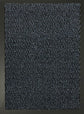 Leyla Barrier Door Mat - Blue